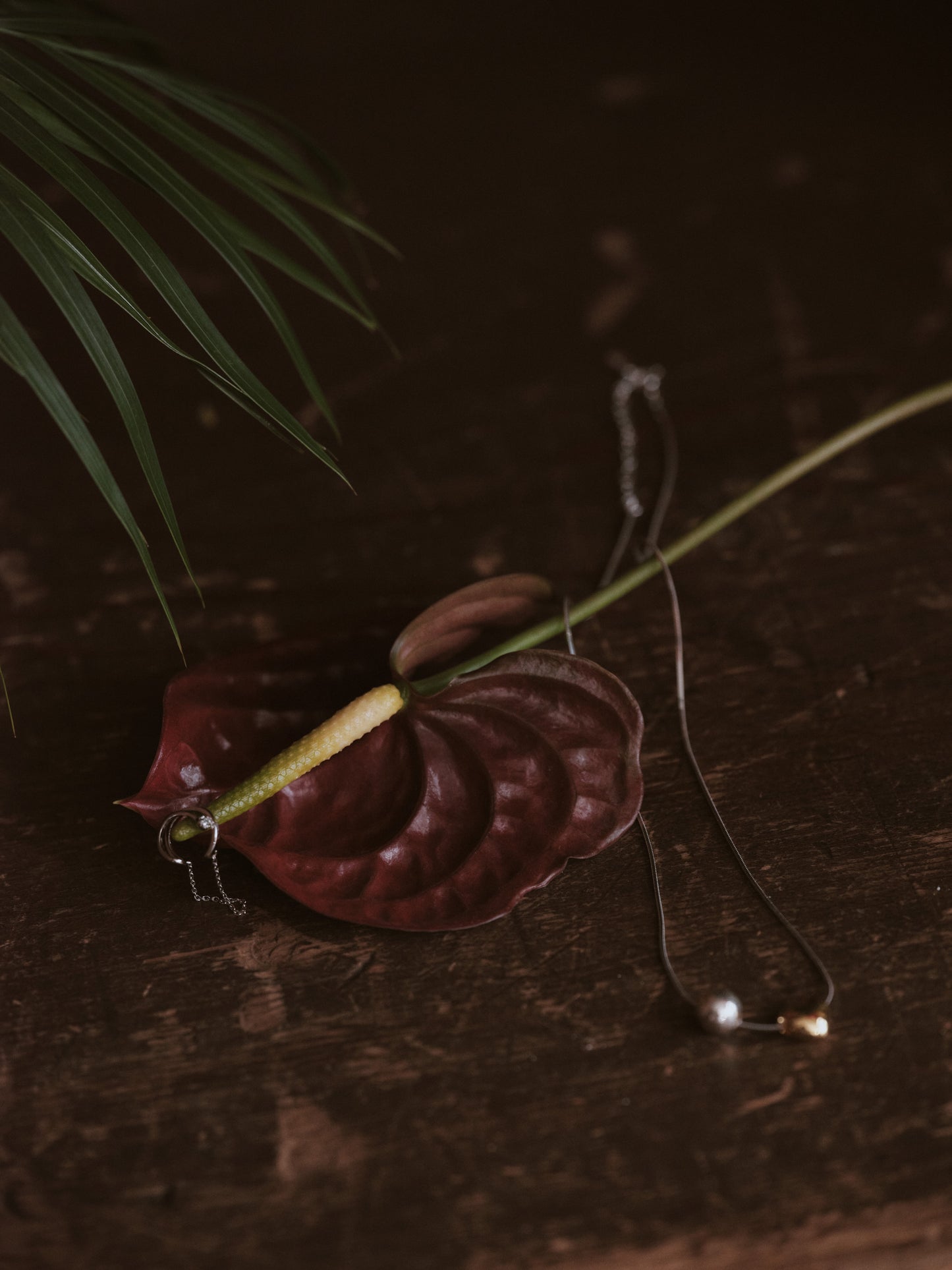 Crystal & chain ear cuff